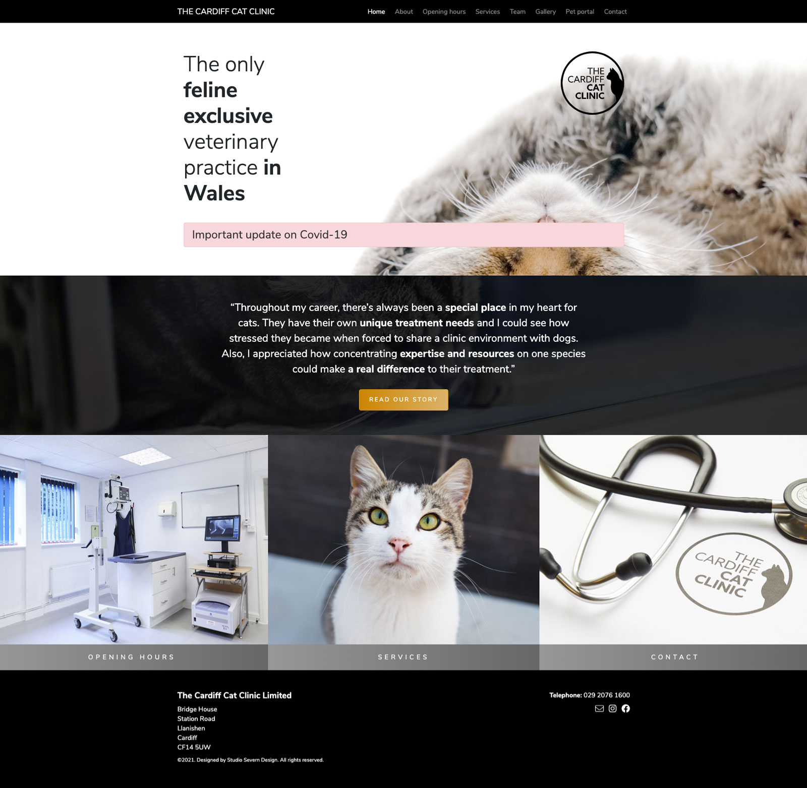 the cardiff cat clinic