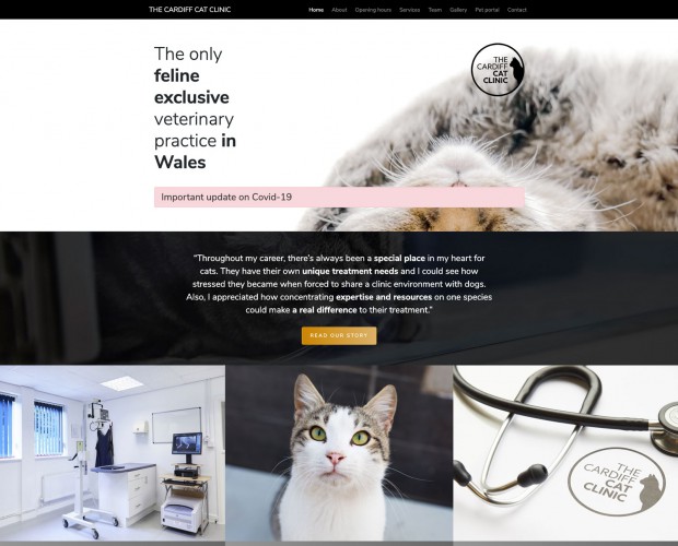 the cardiff cat clinic